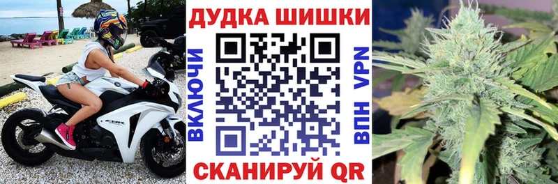 где купить наркоту  hydra   МАРИХУАНА план  shop телеграм  Благодарный 